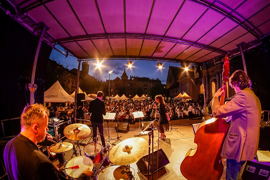 Dine, wine & music - Villa Mayr